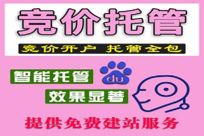 百度推广实战案例：如何精准投放广告